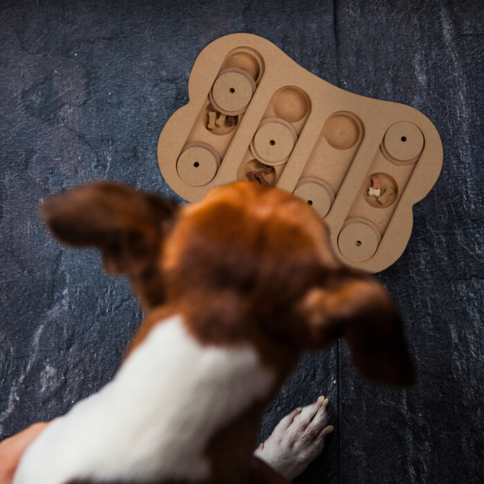 Relaxdays Intelligenzspielzeug für Hunde