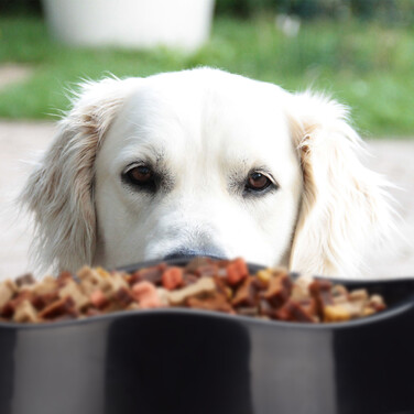 Relaxdays Anti Schling Napf Hund