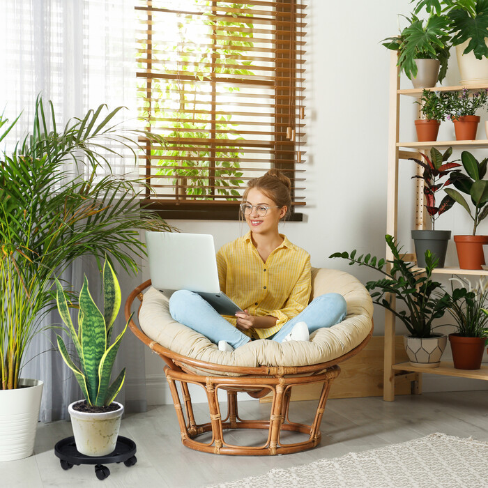 Relaxdays Pflanzenroller Kunststoff klein 2er Set