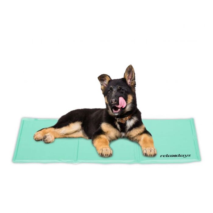 Relaxdays Türkise Kühlmatte für Hunde