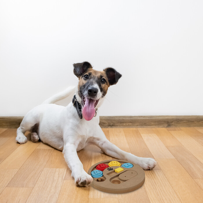 Relaxdays Intelligenzspielzeug für Hunde