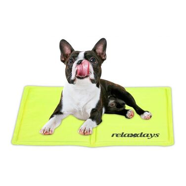 Relaxdays Grüne Kühlmatte für Hunde