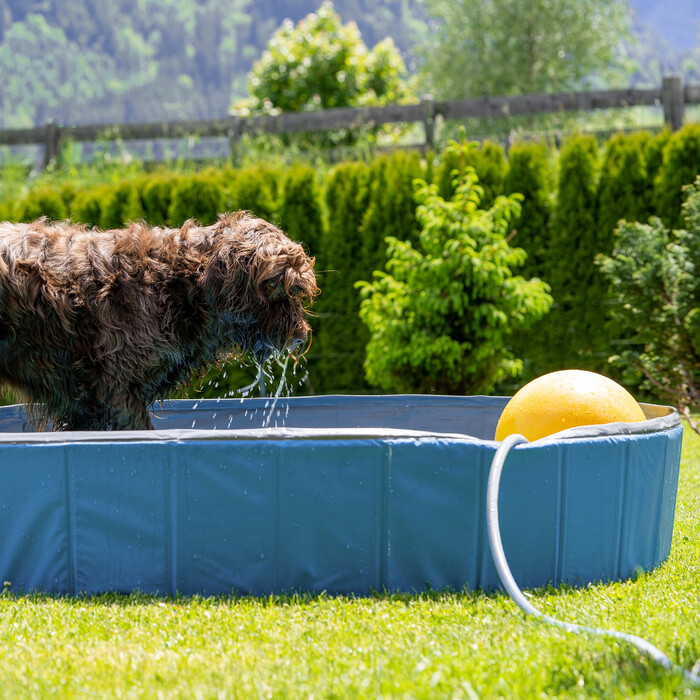 Relaxdays Blauer Hundepool