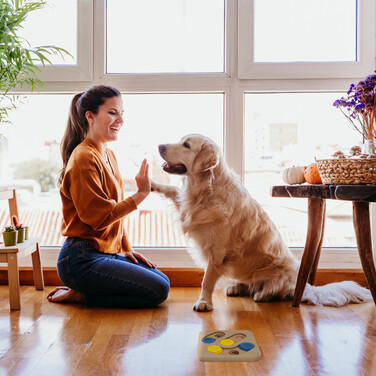 Relaxdays Intelligenzspielzeug für Hunde