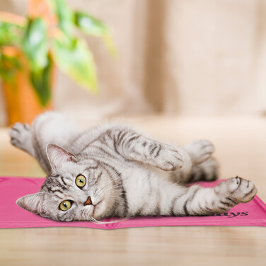 Relaxdays Pinke Kühlmatte für Hunde