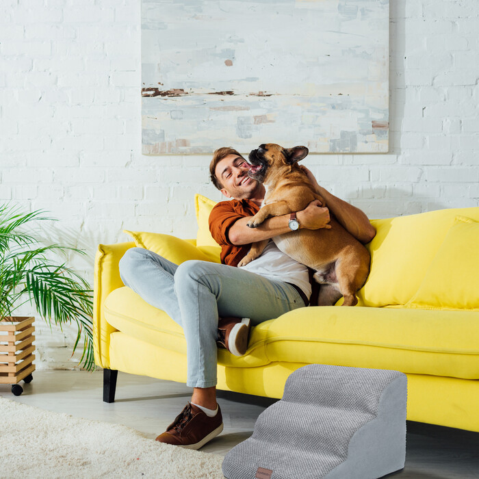 Relaxdays Hundetreppe mit 3 Stufen