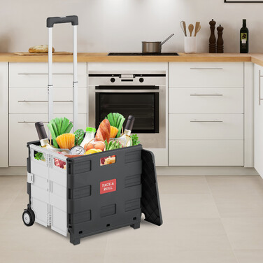 Relaxdays Klappbarer Einkaufstrolley mit Deckel