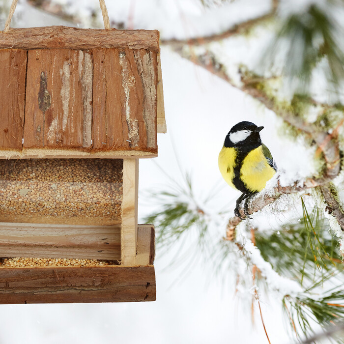 Relaxdays Vogelfutterhaus mit Rindendach
