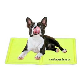 Relaxdays Grüne Kühlmatte für Hunde