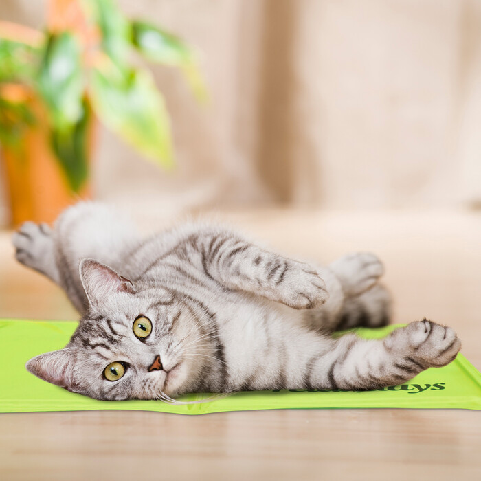 Relaxdays Grüne Kühlmatte für Hunde