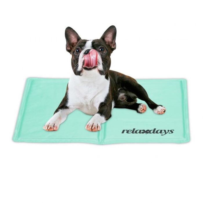 Relaxdays Türkise Kühlmatte für Hunde
