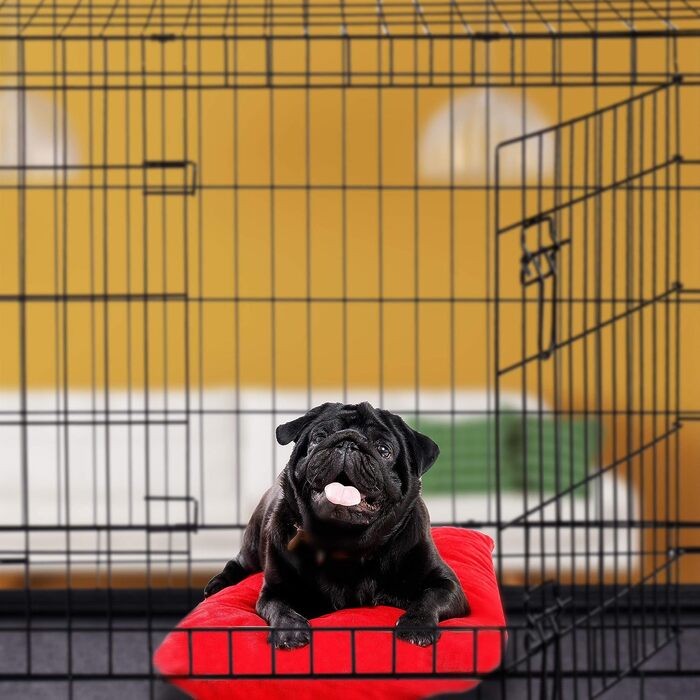 Relaxdays Hundekäfig, Faltbare Hundetransportbox Auto, Welpenkäfig, 2 Türen, Bodenschale, Drahtkäfig Metall, M, Schwarz Schwarz M