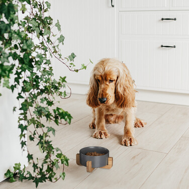 Relaxdays Hundenapf Keramik mit Bambusgestell