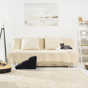 Relaxdays Hundetreppe mit 3 Stufen