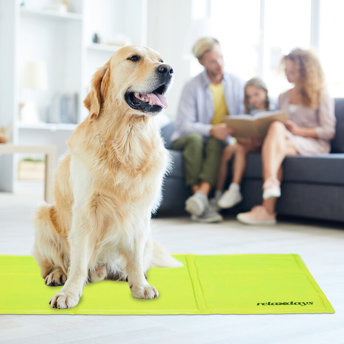 Relaxdays Grüne Kühlmatte für Hunde