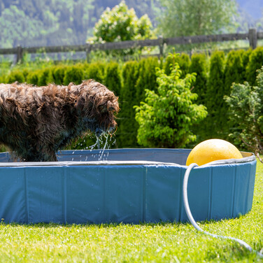 Relaxdays Blauer Hundepool