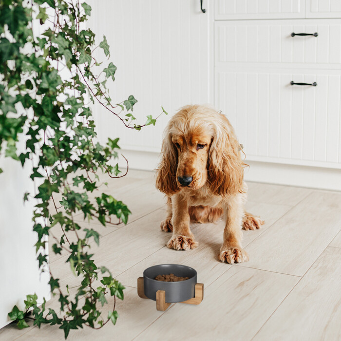 Relaxdays Hundenapf Keramik mit Bambusgestell
