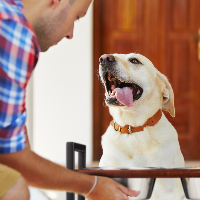 Relaxdays Futterstation für Hunde